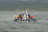 culter3 ss09 sat rmc 8835